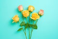 bright yellow roses popping against a green backdrop Royalty Free Stock Photo