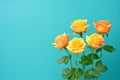 bright yellow roses popping against a green backdrop Royalty Free Stock Photo