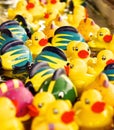 Bright Yellow Rubber Duckies and Color Fish Floating in a Stream of Water in a Carnival Game Booth