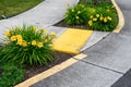 Bright yellow sidewalk guides on a corner crossing, with yellow daylilies planted on either side of the entrance Royalty Free Stock Photo