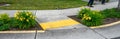 Bright yellow sidewalk guides on a corner crossing, with yellow daylilies planted on either side of the entrance Royalty Free Stock Photo