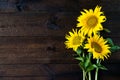 Bright yellow sunflowers on natural rustic texture wooden board. Royalty Free Stock Photo