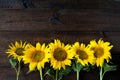 Bright yellow sunflowers on natural rustic texture wooden board. Royalty Free Stock Photo