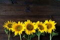 Bright yellow sunflowers on natural rustic texture wooden board. Mockup banner with flowers of the sunflower on dark background Royalty Free Stock Photo