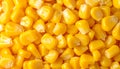 Top view of fresh yellow sweet corn kernels, AI generated Royalty Free Stock Photo