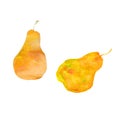 Bright yellow watercolor pears Royalty Free Stock Photo