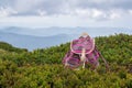 Bright young girl`s backpack in the mountains. Vacation concept