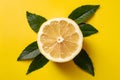 Bright and zesty lemon showcased in professional advertisinggraphy