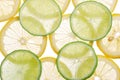 Brighten citrus slices Royalty Free Stock Photo