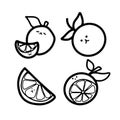 Adorable Orange Illustrations Cute Hand Drawings For Creative Projects Minimalist Design