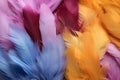 Brightl multi-colored feathers