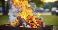 Brightly Burning Logs in a Metal Box for an Outdoor Barbecue