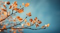 Brightly colored autumn leaves set against a clear blue sky, capturing the essence of fall.