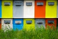 Brightly colored beehives on green grass