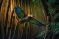 brightly-colored bird flying through bamboo forest Royalty Free Stock Photo