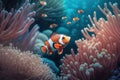 Brightly colored clown fish or Nemo fish.