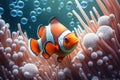 Brightly colored clown fish or Nemo fish.