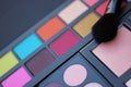 Brightly Colored Cosmetic Pigment Palettes