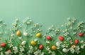 the brightly colored eggs, easter grass, pecking order and white flowers are placed on a green background Royalty Free Stock Photo