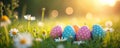 Brightly colored polka dot Easter eggs rest in green grass among white daisies under warm sunlight. Spring meadow scene with Royalty Free Stock Photo