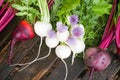 Red beets and white turnips with greens on an old wooden table