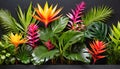 Brightly colored tropical plants adorn the black wall within a stunning Islamic mosque including an elaborate archway