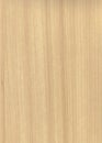 brightly colored wood grain texture finished with clear varnish Royalty Free Stock Photo