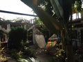 A brightly coloured hammock in a garden full of lush green plants