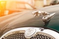 Brightly green Jaguar S-type 2007 front view Royalty Free Stock Photo