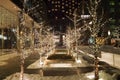 Brightly lit Christmas decorated alley in front of a skyscraper in downtown Toronto in the night Royalty Free Stock Photo