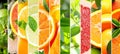 Brightly lit citrus fruit collage with white vertical division lines, minimum 7 segments