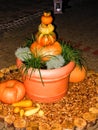 Brightly lit pumpkin pyramid in flowerpot Royalty Free Stock Photo