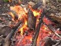 Hot coals of a dying bonfire Royalty Free Stock Photo