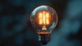 brightness zooming lightbulb Royalty Free Stock Photo