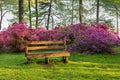 Brighton Dam Azalea Garden Bench in Brookeville Maryland Royalty Free Stock Photo