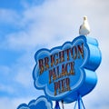 A seagull sits on a sign above Brighton Pier. Brighton, East Sussex, UK
