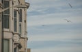 Brighton, England - a sunny day at the seafront; seagulls and blue skies. Royalty Free Stock Photo