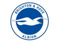 Brighton & Hove Albion Logo