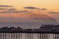 Brighton palace pier and starlings at sunset Royalty Free Stock Photo