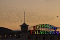 Brighton palace pier and starlings at sunset Royalty Free Stock Photo