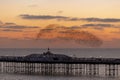 Brighton palace pier and starlings at sunset Royalty Free Stock Photo