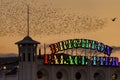 Brighton palace pier and starlings at sunset Royalty Free Stock Photo