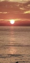 Brighton pier sunset flock of birds lonely paddler Royalty Free Stock Photo