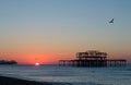 Brighton Piers Sunrise Royalty Free Stock Photo