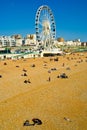 Brighton seafront