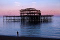 Brighton West Pier at sunset with birds flying round it Royalty Free Stock Photo