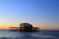 Brighton West Pier at sunset Royalty Free Stock Photo