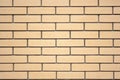 Brikcs wall Royalty Free Stock Photo