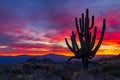Brilliant Arizona Sunrise Landscape With Cactus