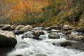 Brilliant autumn colors, rushing stream.